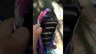 OREO DOUBLE STUF #SHORTS
