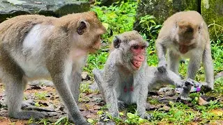 Godd...! P!tyy old Jane can'tt relocate from Vickki's inappropriatee @cts, Jane is very weakk