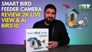 Smart Bird Feeder Camera Review  - 2K Live View & AI Bird ID!