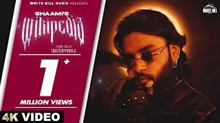 Wikipedia (Official Video) Shaami | Don Music | Punjabi Songs 2024