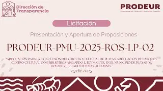 APERTURA  PRODEUR-PMU-2025-ROS-LP-02  23 DIC 2025