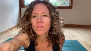 Guided Meditation - What is it like to pause