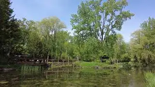 Nature Background Video l Free Stock Footage | No Copyright Videos | Creative Common !