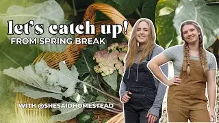 We're Back! Let's Catch Up From Spring Break | Episode 61 - She Said Homestead Podcast