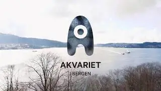 Akvariet i Bergen