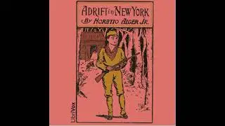 A drift in New York - Horatio Alger