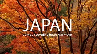 Japan - 9 days of video updates - Food, travel, reflections, nature, history and More!