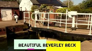 Beautiful Beverley Beck wildlife