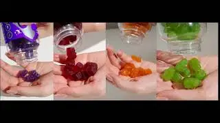 Probears Vitamins for A Healthy and Tasty Life