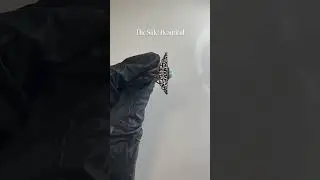 Closer Look
