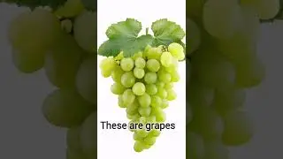 kids knowledge #UnitedKingdom #Canadian #Australian #foreveryone #mostviewedonyoutube