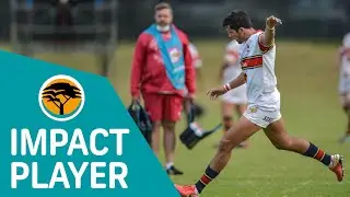 Zander du Plessis &ndash; FNB Impact Player | Round 8
