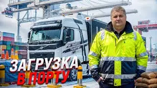 ДАЛЬНОБОЙ В ЄВРОПІ | Як відбувається загрузка в порту