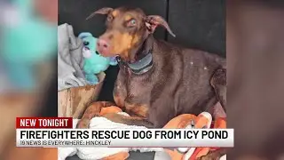Dog saved from icy pond by Hinckley firefighters