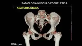 Radiologia Musculoesquelética I - Parte 01