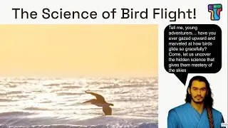 The Amazing Science of Bird Flight!