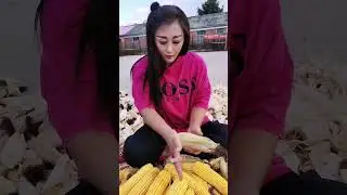Rural Farmer #9961