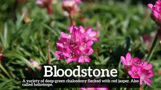 What is Bloodstone? | How Does Bloodstone Look? | How to Say Bloodstone in English?
