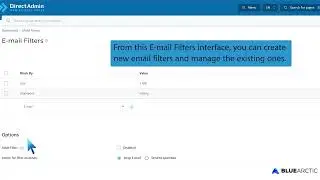 How to remove email spam filters from DirectAdmin   BLUE ARCTIC