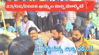 23/02/2026 khammam mirchi market price khammam mirchi market today #dharalu #mirchi#mirchiratetoday