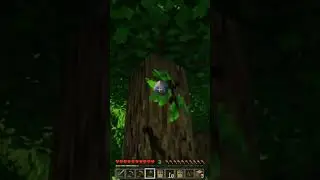 I Built A Secret Tree Room In Minecraft #minecraft #gaming