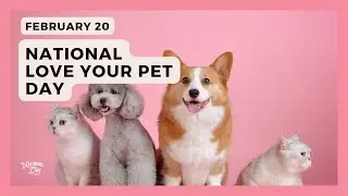 National Love Your Pet Day | February 20