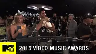 360 VR: Puppy Cam on the Red Carpet | MTV VMA 2015
