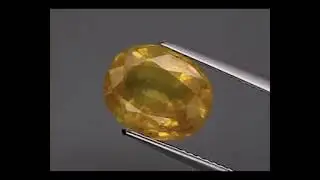 SP-206 Natural Yellow Sapphire 5.90 Ct.
