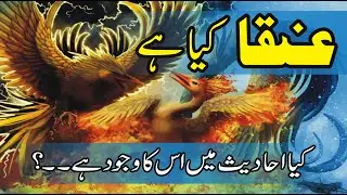 Anqa Kya hy | Hades main anka ka koi Wajood hy | Zahorvi TV