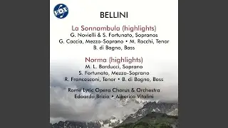 La Sonnambula, Act II: Scena ed aria finale. Ah! non giunge uman pensiero