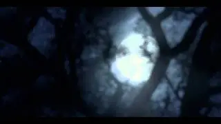 TWIXT trailer | Festival 2011