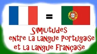 Cours de Portugais - Vidéo #3 - Similitudes entre la langue portugaise et la langue française