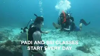 Key Largo Scuba Diving | Best Of The Florida Keys