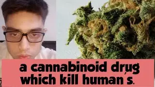WHAT IS DMHP OR Dimethylheptylpyran DRUG? EXPLAINED IN HINDI.