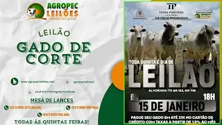 agropecleiloes.com LEIL&Atilde;O GADO DE CORTE | TERRA PR&Oacute;SPERA LEIL&Otilde;ES-ALVORADA-TO 15/01/2026