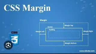 CSS margin-top,bottom,left and right||HTML5 #trending #viralvideo #shortsvideo #coding