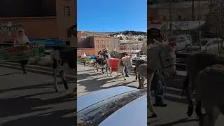 Cripple Creek, Colorado   Christmas Parade          December 10, 2022   #cripplecreek