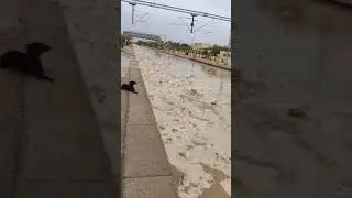 Railway station funny 🤣😺🤣 #shorts #videos