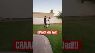 Chip plays CRAZY with Dad! 🤪 #shorts