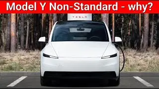 Model Y madness - who is this car aimed at?