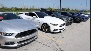 MUSTANG TAKEOVER!!!