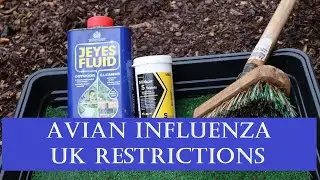 Avian Influenza UK Requirements from 14th Dec 2020: A Simple Guide
