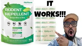 RibRave Mice Repellent REVIEW!!!!
