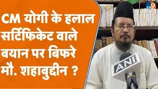 Halal Certificate Politics: Why did Maulana Shahabuddin get angry over CM Yogi's statement on Hal...