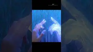 after watching this shorts then fill like better 💞.#explorepage #trendingshorts #romatic