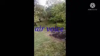 sinhalasong#airvoice#nethural#environment#tiktok#dance#sinhalasindu#heritage