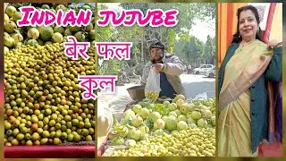 Indian jujube Ber Fruit Indian Plum কুল A Day in My Life बेर फल Small Business