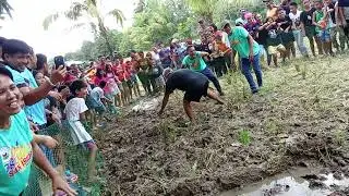 Huli ka biik