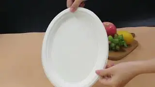 co-Friendly Oval Bagasse Plate | Perfect for Restaurants & Catering