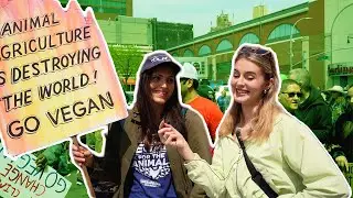 When a VEGAN walks into a climate march
